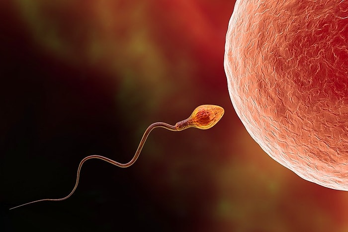 10 любопытных фактов о сперме, гуглить которые вам бы и в голову не пришло