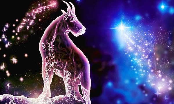 На самом деле вы Козерог