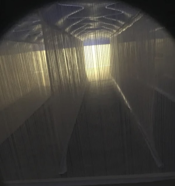 2. Внутри чего сделано это фото?