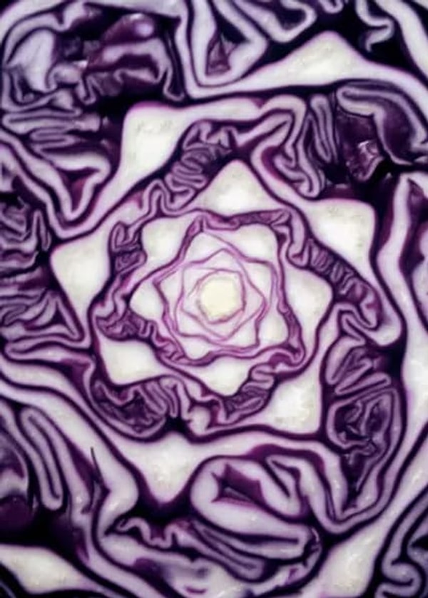 7. А что на этом фото?