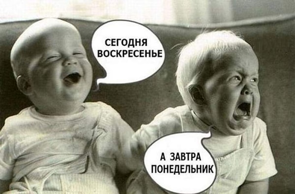 5. Кем вы являетесь: оптимистом или пессимистом?