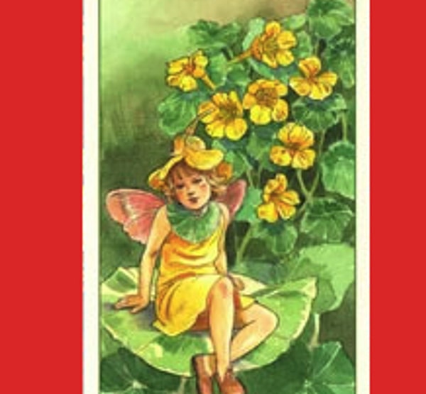 Внимание со стороны людей: