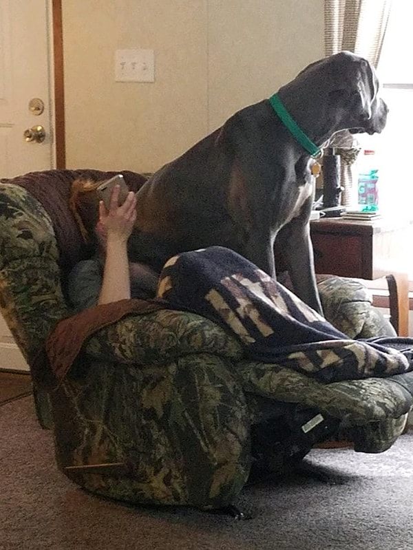 6. "Главное, что ему удобно"