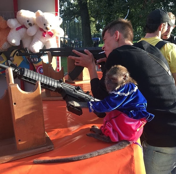 25. А вообще, нас надо бояться и уважать. У нас вон даже мартышки стрелять умеют 😂