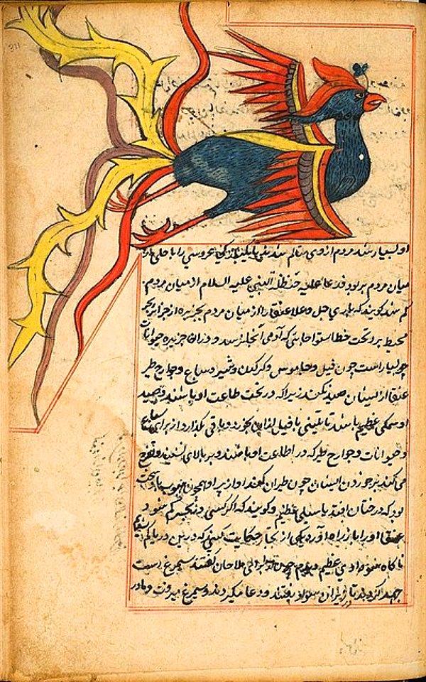 Seyyid Emir Ali kaleme aldığı eserinde farklı bir sınıflandırmayla evrim anlatılır.