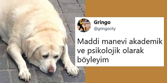 Paylaşımlarını Abarta Abarta Bizleri Bambaşka Kahkaha Deneyimleri Yaşatan 14 Kişi