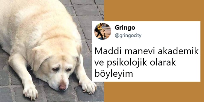 Paylaşımlarını Abarta Abarta Bizleri Bambaşka Kahkaha Deneyimleri Yaşatan 14 Kişi