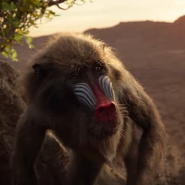 8. И, конечно, же давний друг королевской семьи Рафики