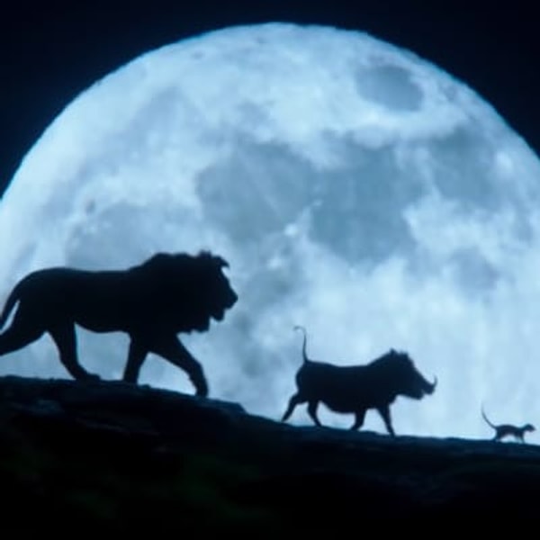 10. После которой нам сразу показывают процесс взросления Симбы в компании Тимона и Пумбы