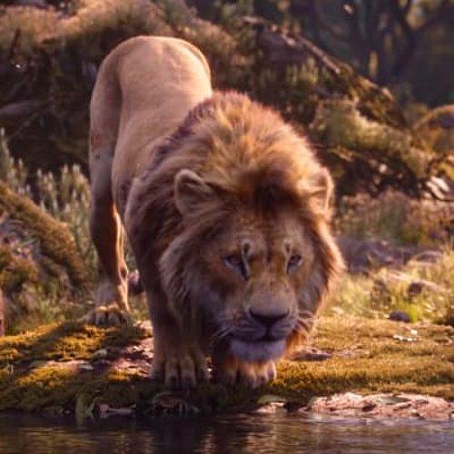 Покадровое сравнение нового трейлера фильма «Король Лев» с мультфильмом 1994 года