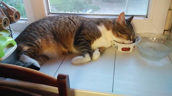 2. Стереотип: Тельцы очень ленивы, и все мысли их заняты только деньгами