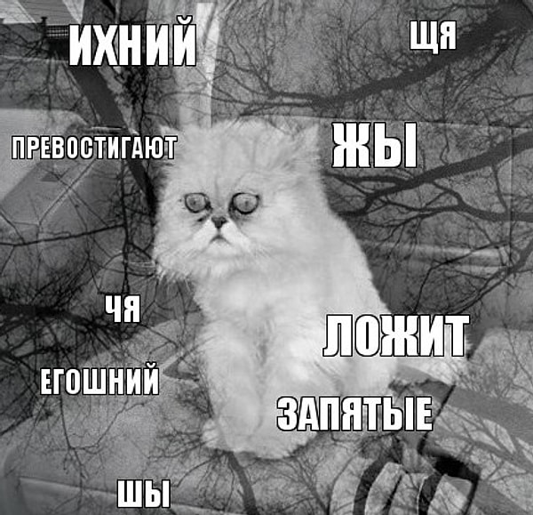 3. В каком варианте пишется буква «и»?