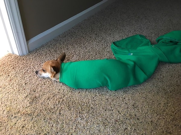 12. Он уже жалеет о своем поступке