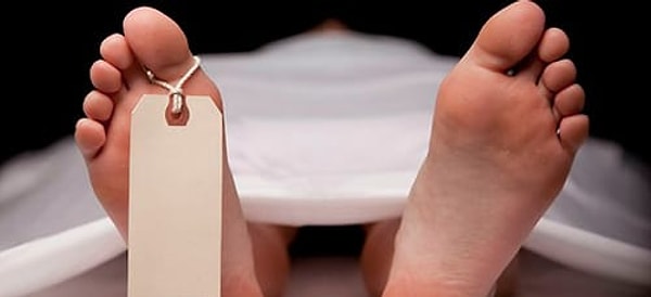 10. Сколько лет необходимо на разложение мёртвого человеческого тела?