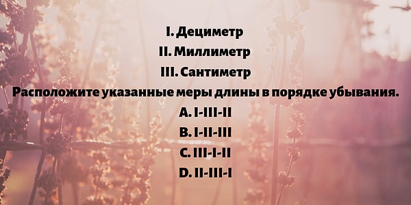 5. Расположите указанные меры длины в порядке убывания: