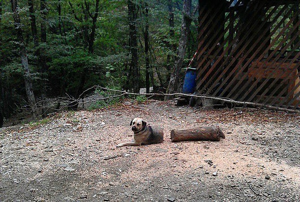 16. "Сперва я даже испугался"