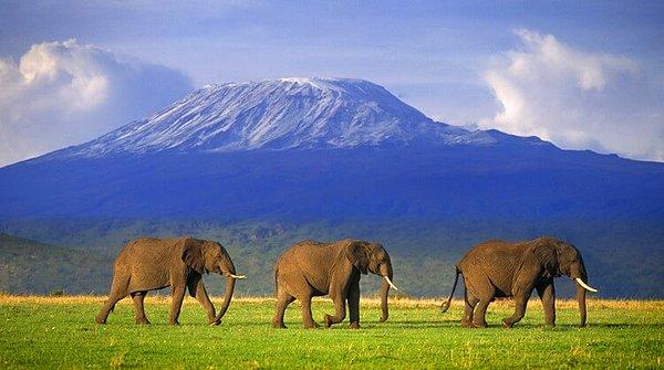 18. Kilimanjaro Dağı-Tanzanya