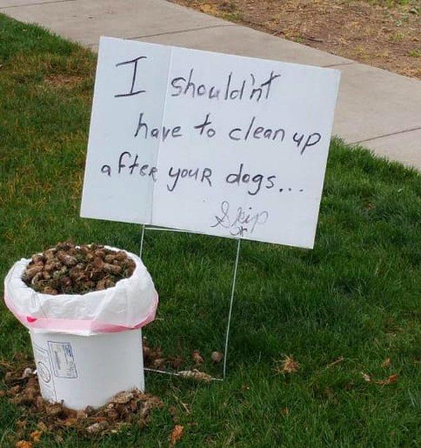 6. Köpeğinin, bahçesine kaka yapmasına izin veren kişiye tepkisini gösteren komşu: