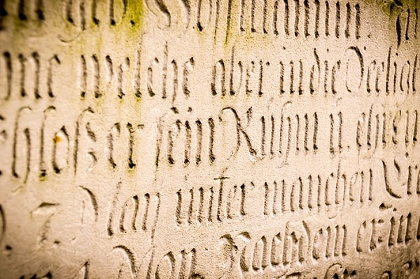 13. С латыни «алиби» переводится как…