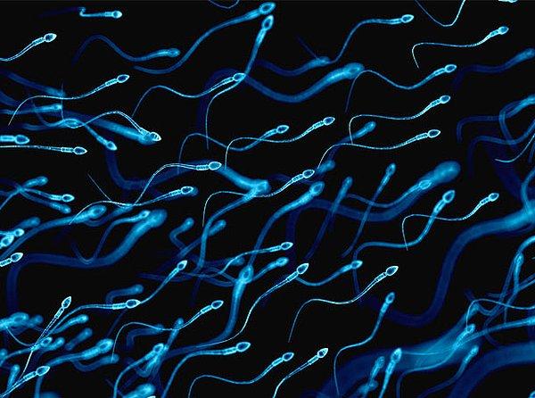 1. New York Eyalet Üniversitesi'nin araştırmasına göre, sperm depresyonla mücadeleye yardımcı olabilir.