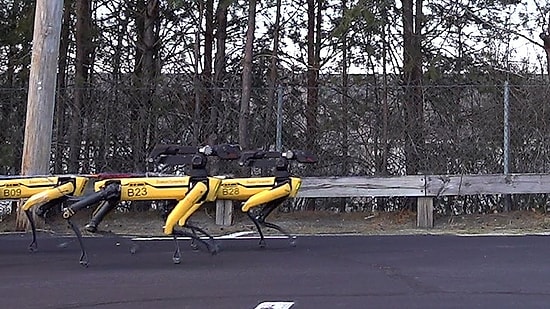 Boston Dynamics'in Robot Köpekleri Şimdi de Kamyon Çekti!