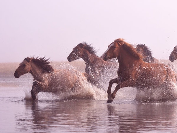 Вы мыслитель!