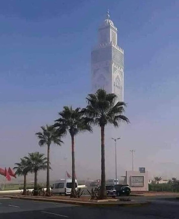 15. Выглядит сюрреалистично.