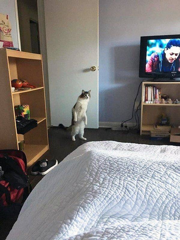 4. А что это вы тут делаете?