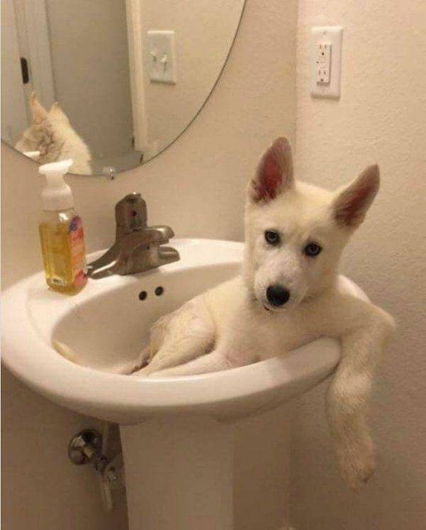 7. А стучаться вас не учили?