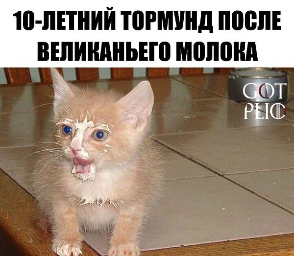 34. Уникальные кадры