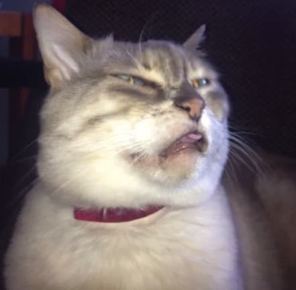 1. Когда ты хочешь сладенько чихнуть, и вот в носу уже заискивающе щекотит... НО НИКАК, ТЫСЯЧА ЧЕРТЕЙ!