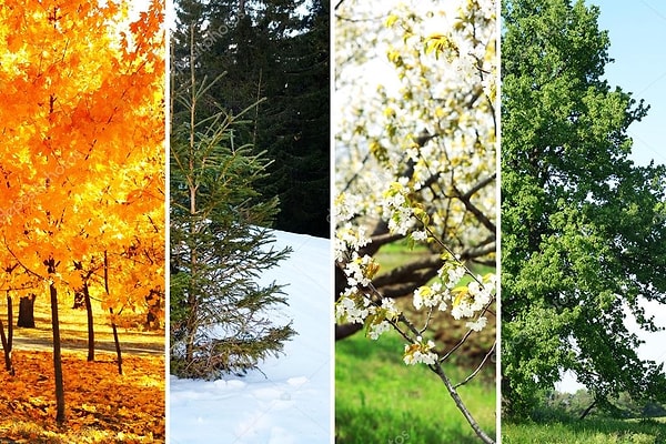 4. Выберите «лишний» месяц: