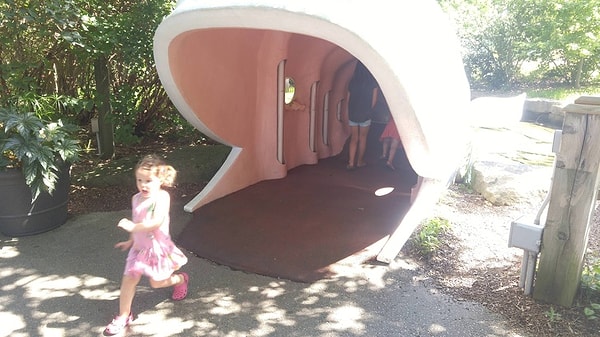 5. «Момент, когда я сказал дочери, что кит сейчас закроет рот»