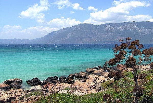 2. Выберите море, которое не является частью Средиземного моря: