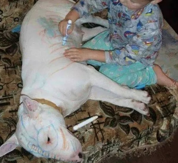 11. Нет, ну они издеваются :)