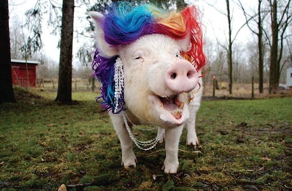 22. Любовь и дружба, навсегда связавшая Эстер и ее родителей, полностью изменила жизнь Дженкинса и Уолтерса.