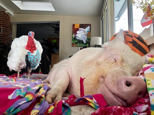 21. Покорив сердца читателей, Эстер планирует продолжать свой путь к славе и метит не куда-нибудь, а в сам Голливуд!