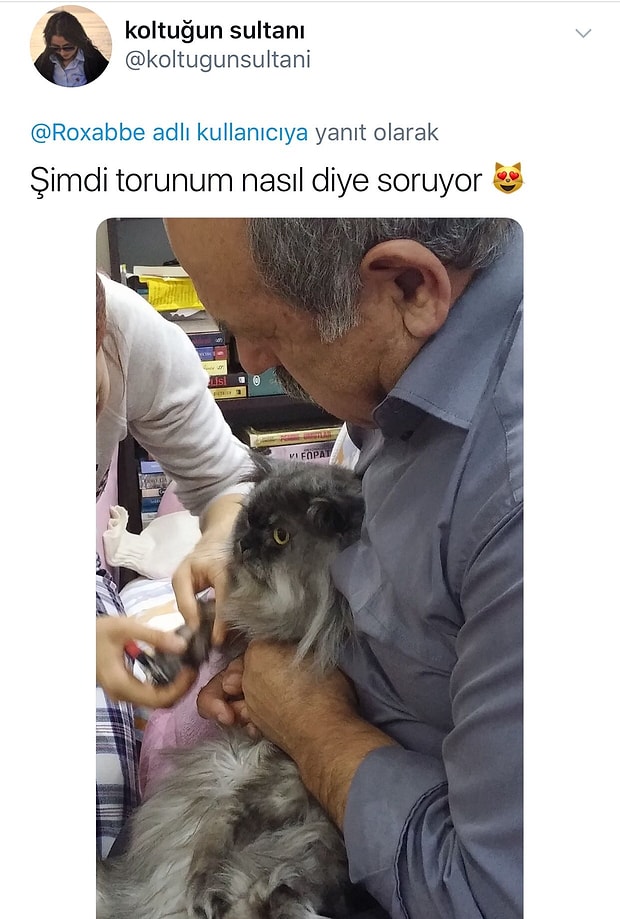 Evde Asla Hayvan Istemeyip Daha Sonra Onlarin Delisi Olan Ebeveynlerin Birbirinden Minnos Halleri