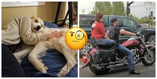 Оказалось, показалось: 20+ уникальных фотографий, на которые надо посмотреть дважды