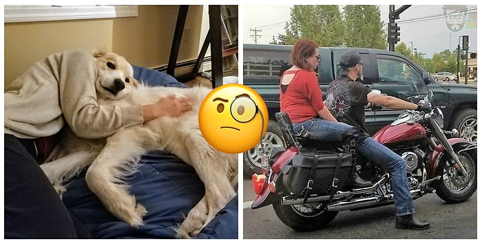 Оказалось, показалось: 20+ уникальных фотографий, на которые надо посмотреть дважды