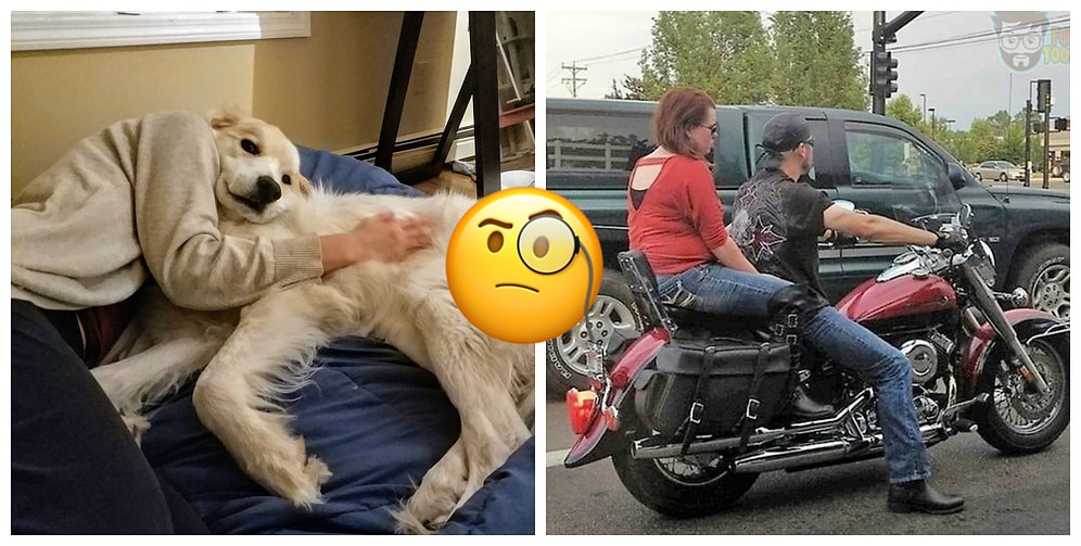 Оказалось, показалось: 20+ уникальных фотографий, на которые надо посмотреть дважды