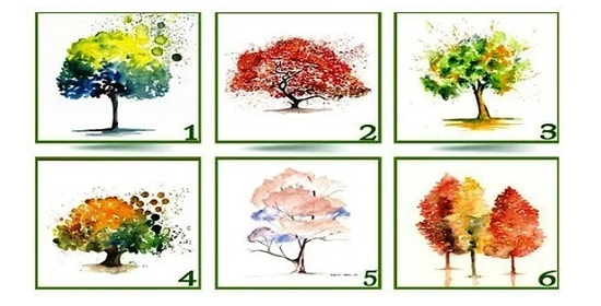 Тест: Понравившееся дерево раскроет ваш истинный характер