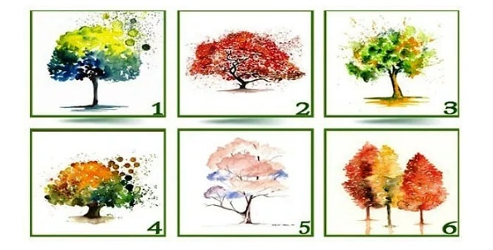 Тест: Понравившееся дерево раскроет ваш истинный характер