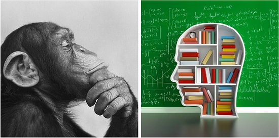Тест: Если ответите на все вопросы с первого раза, то спокойно можете начинать писать кандидатскую диссертацию