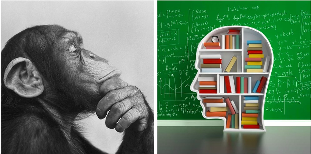 Тест: Если ответите на все вопросы с первого раза, то спокойно можете начинать писать кандидатскую диссертацию