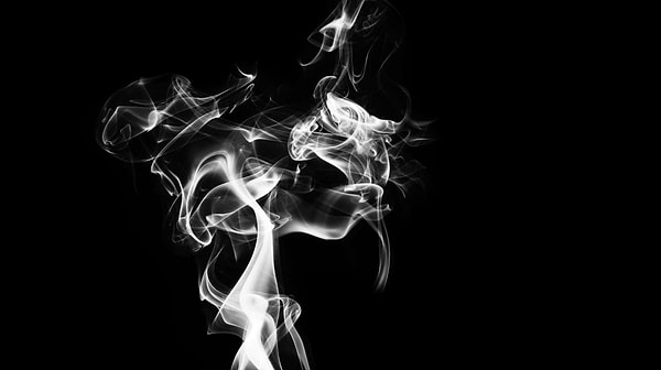 1. Одну из самых разрушительных эпидемий в истории человечества называли Черная смерть. А каково ее настоящее название?