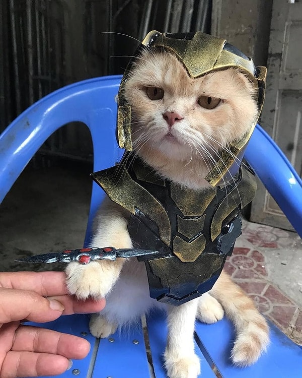 15. Согласитесь, косплеером может стать каждый!