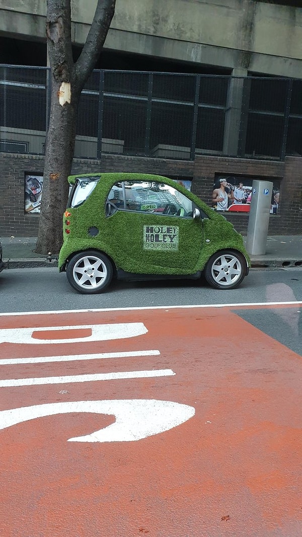 20. Любитель флоры и фауны