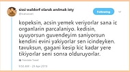 Hayvan Dostlarımıza Cehennemi Yaşatıyoruz! Twitter'daki Bu Flood Yüzünüzde Bir Tokat Etkisi Yaratacak