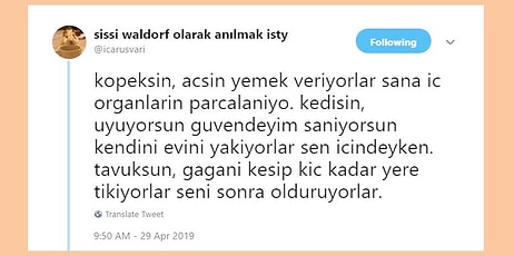 Hayvan Dostlarımıza Cehennemi Yaşatıyoruz! Twitter'daki Bu Flood Yüzünüzde Bir Tokat Etkisi Yaratacak